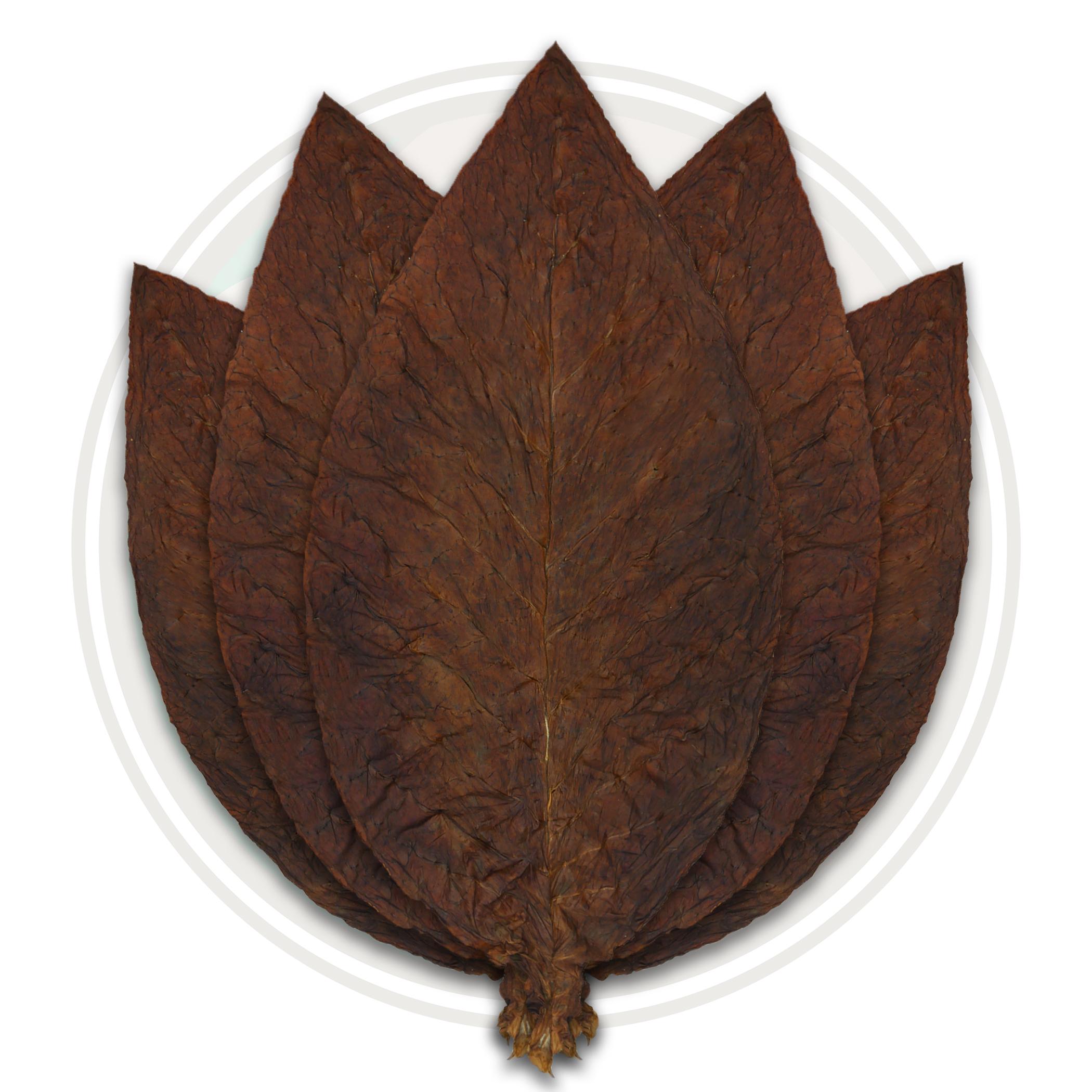Fronto Grabba Dark Air Cured Whole Leaf Tobacco Leaf Only J2